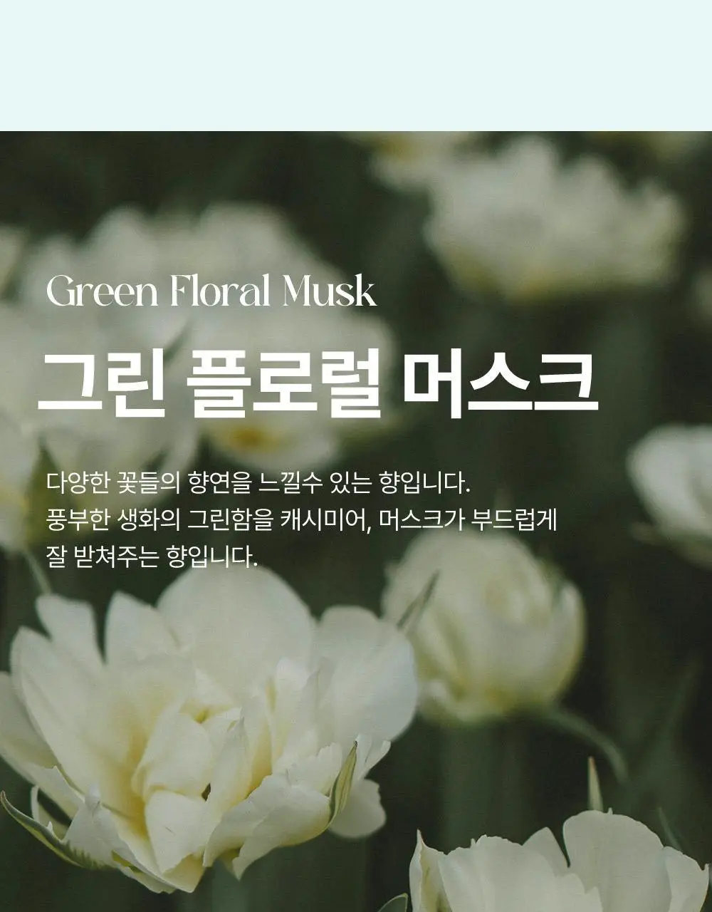 [1초새치커버/스마트프루프] 달리프 글램 헤어커버 마스카라 16g 다크 브라운 기획(+새치마스카라8g 증정) 상세페이지 22